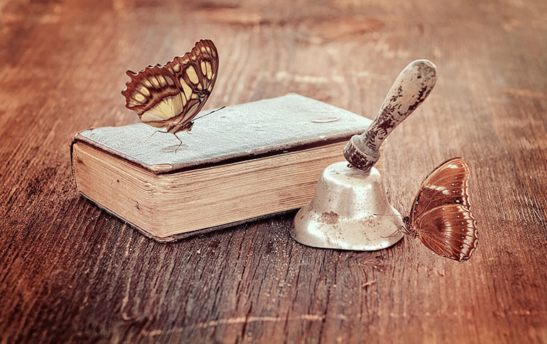 Ausbildung zum Bewusstseins-Coach - Modul 4 - Im Quantenfeld arbeiten