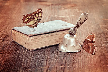 Ausbildung zum Life Coach - Modul 4 - im Quantenfeld arbeiten