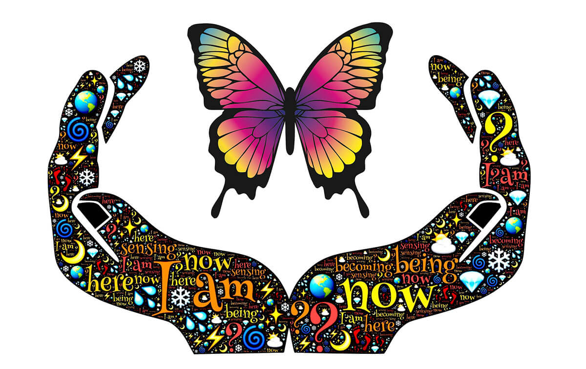 Image by John Hain from Pixabay