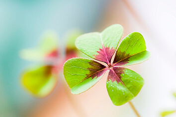Glücklich sein - so gelingt es!