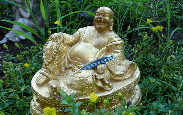 Spirituelle R&uuml;ckf&uuml;hrungen