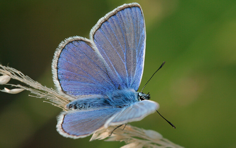 Ausbildung zum Life Coach - Modul 2 - Seeleneinweihung erleben
