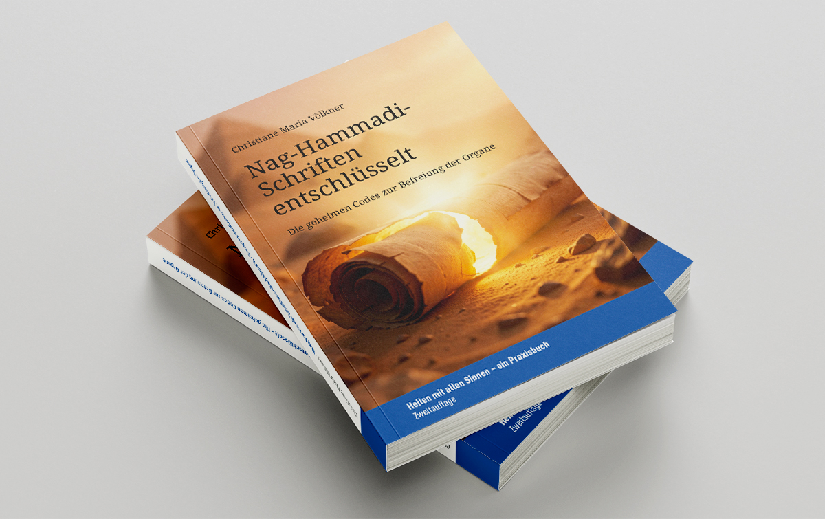 Praxisbuch Geistiges Heilen - Transformation im Quantenfeld der Schmetterlinge