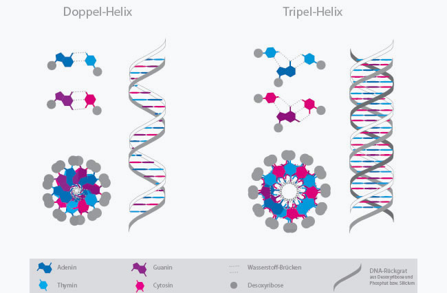 Triple-Helix - Anstieg der kosmischen Lichtenergien